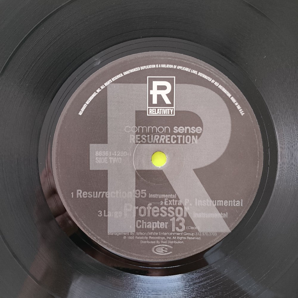 Common - Resurrection 12" - 1995 - 88561-1250-1 - Used - VG++ - Vinyl